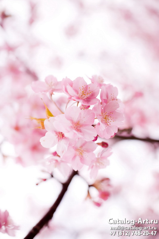 Blossom tree 43